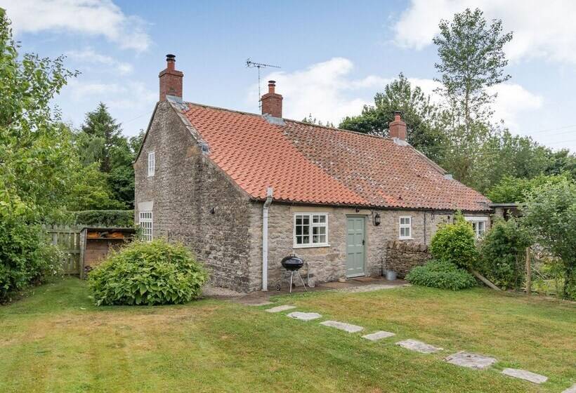 The Old Watchmaker S Shop