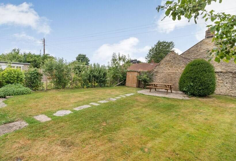 The Old Watchmaker S Shop