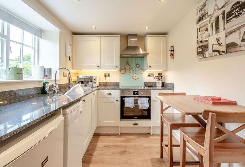 The Old Watchmaker S Shop