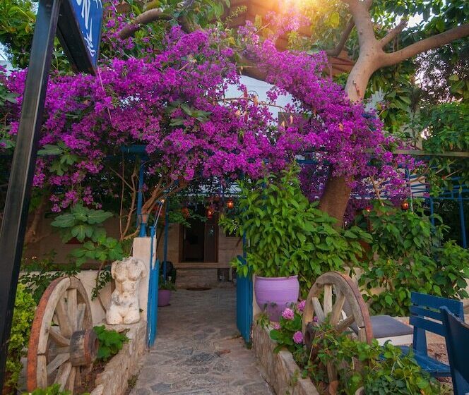 Общежитие Thetis Pansiyon