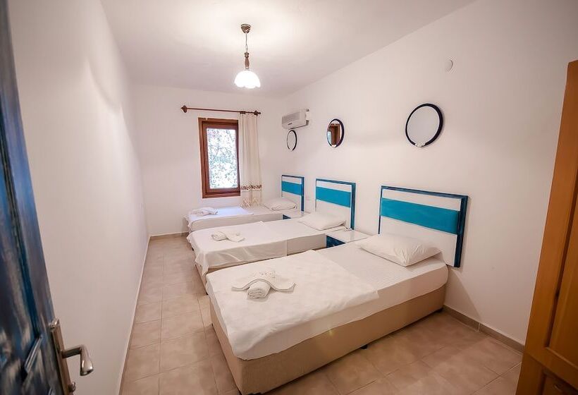 Общежитие Thetis Pansiyon