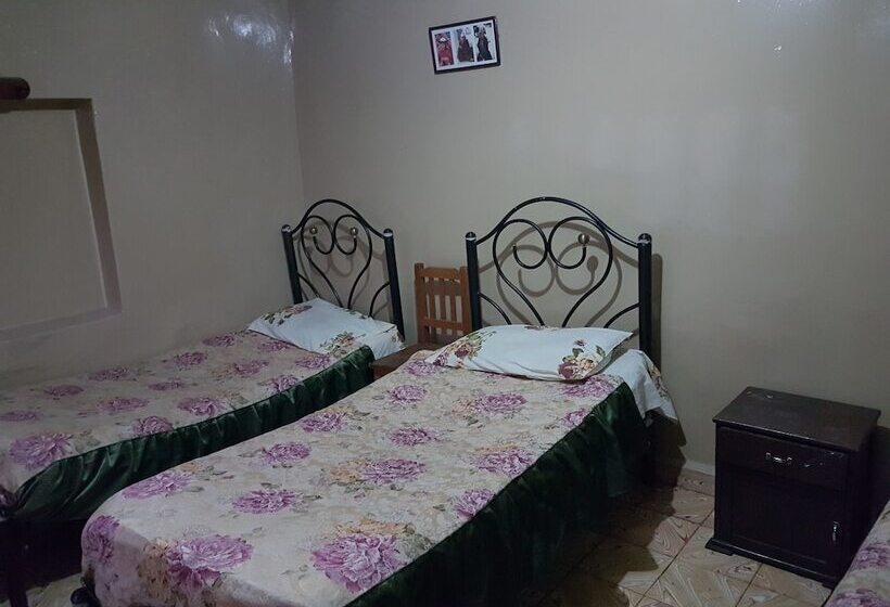 Alojamiento El Turista   Hostel