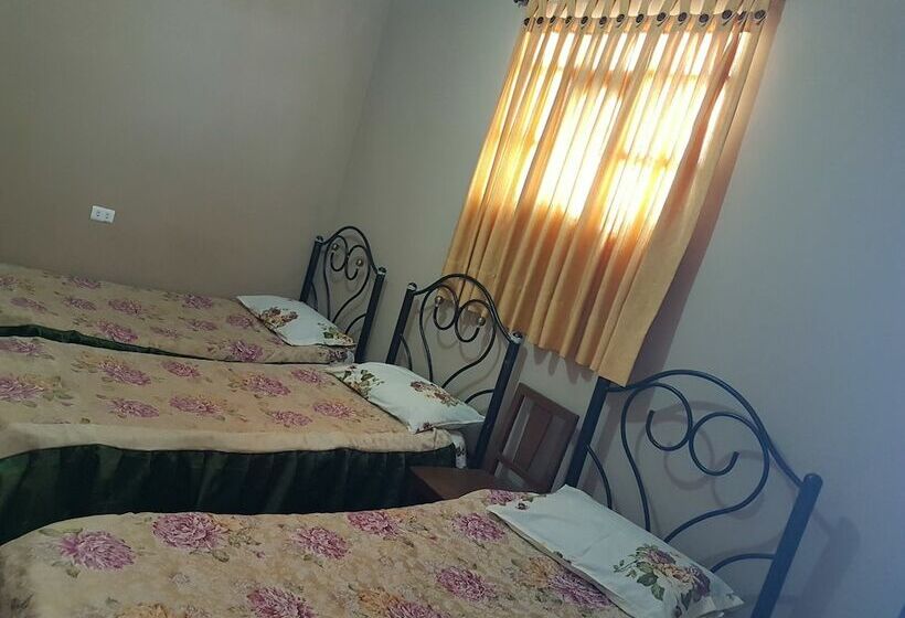 Alojamiento El Turista   Hostel