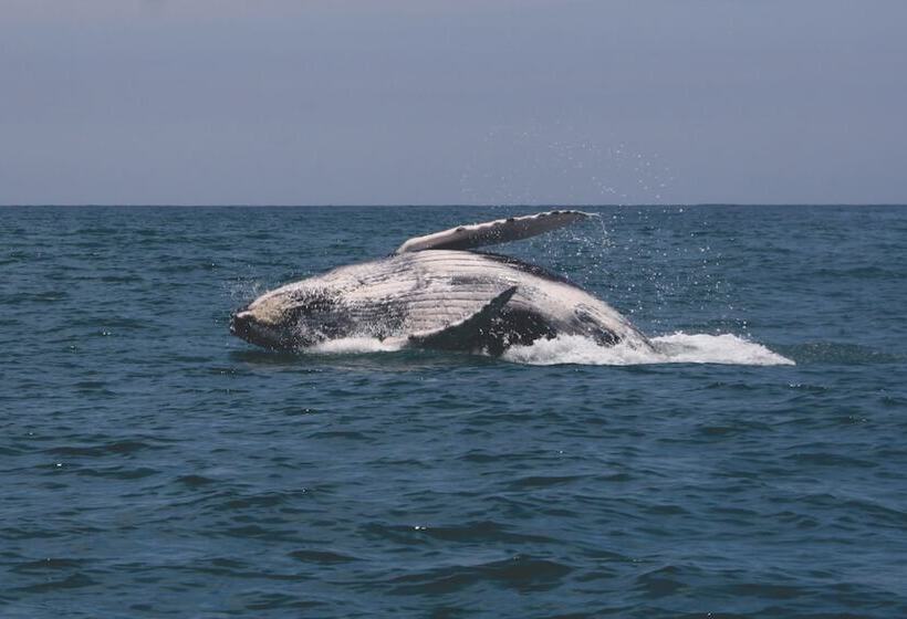 Apart Hotel Las Cherelas