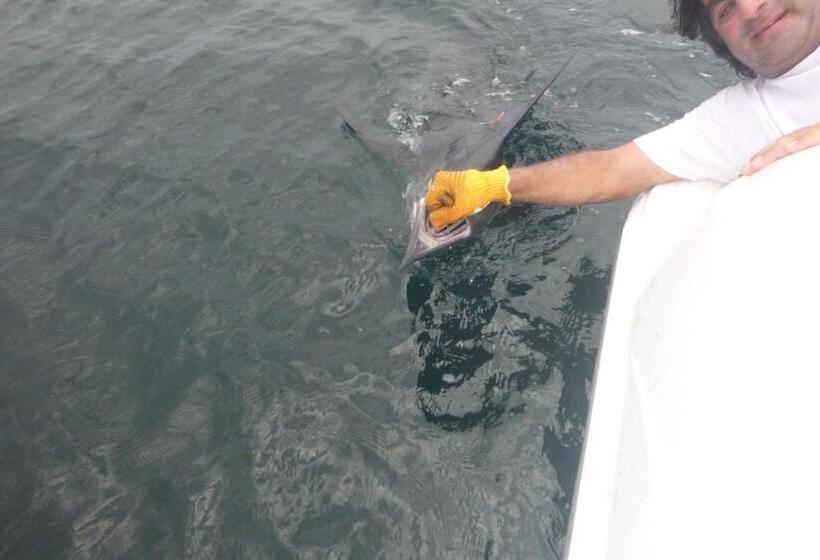 Apart Hotel Las Cherelas