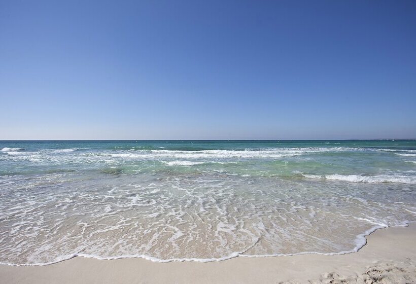 Apartaments Posidonia