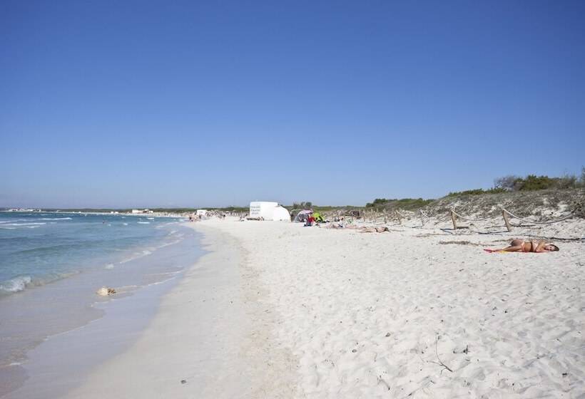 Apartaments Posidonia