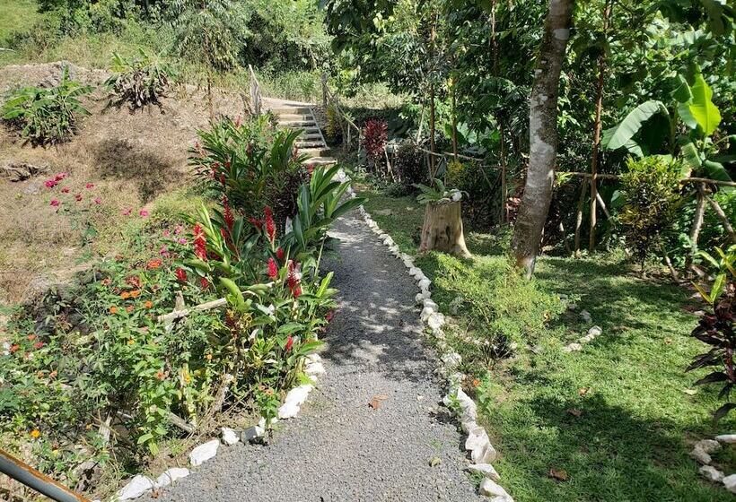 Aruma Eco Hostal   Hostel