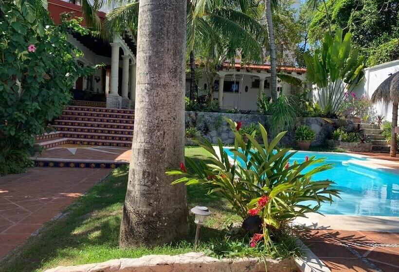 تختخواب و صبحانه Coco Suites Cozumel