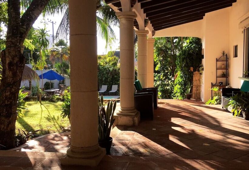 تختخواب و صبحانه Coco Suites Cozumel