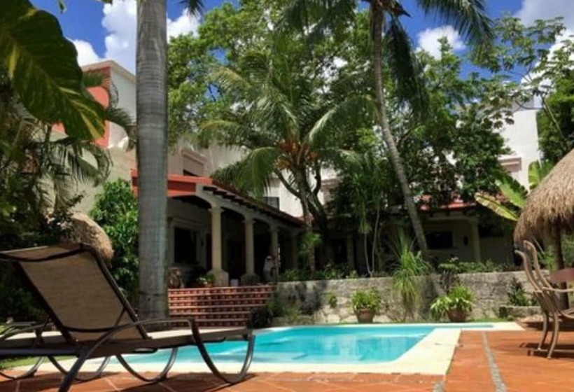 تختخواب و صبحانه Coco Suites Cozumel