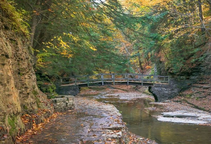 مبيت وإفطار Enfield Manor