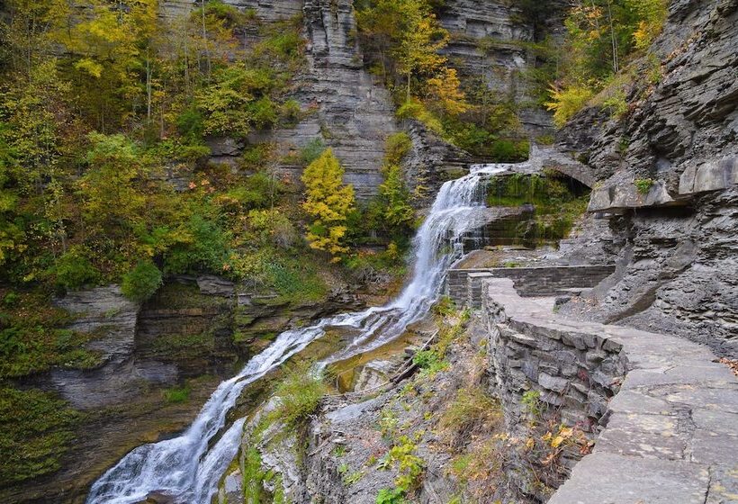 مبيت وإفطار Enfield Manor