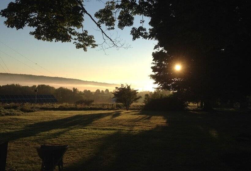 مبيت وإفطار Enfield Manor