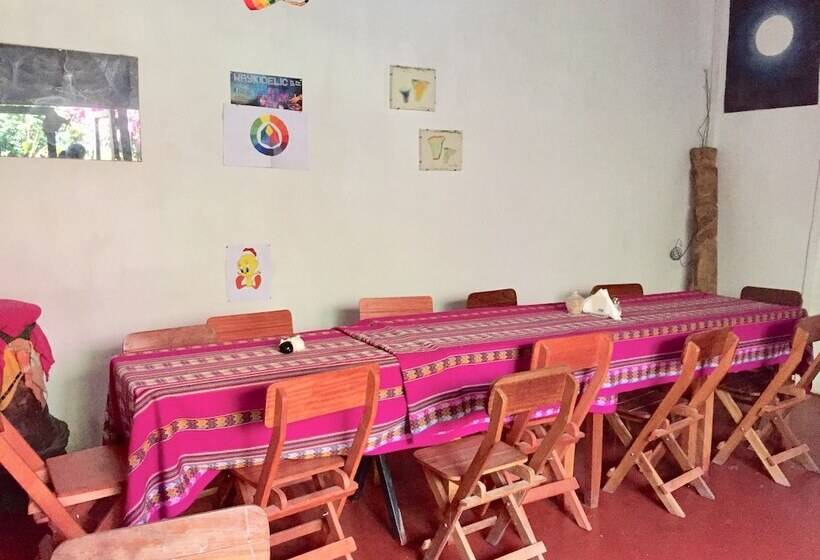 Bed and Breakfast Full Moon Ecolodge