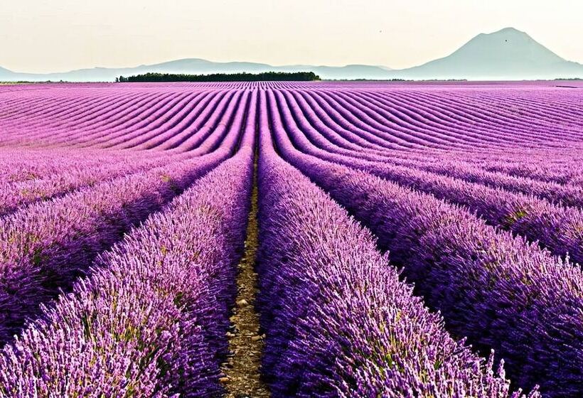 ベッドアンドブレックファースト La Farigoule