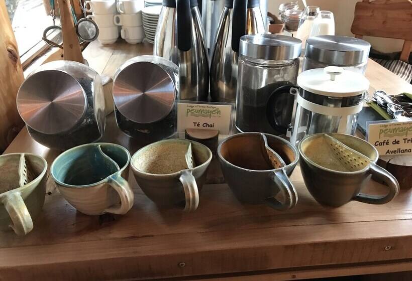 Bed and Breakfast Peumayen Lodge & Termas Boutique