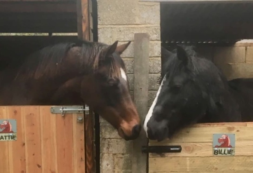 Bed and Breakfast The Star Inn