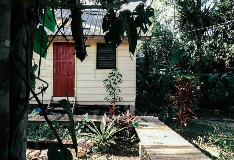 Belmopan Tiny Houses
