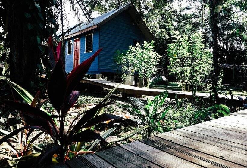 Belmopan Tiny Houses