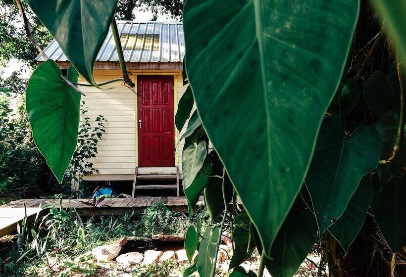 Belmopan Tiny Houses