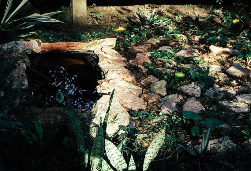 Belmopan Tiny Houses