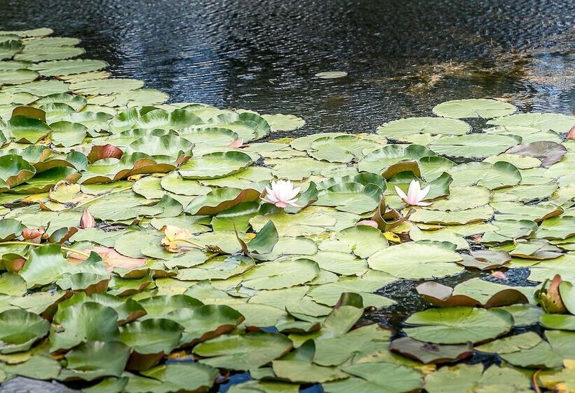 Blackwattle Luxury Retreats