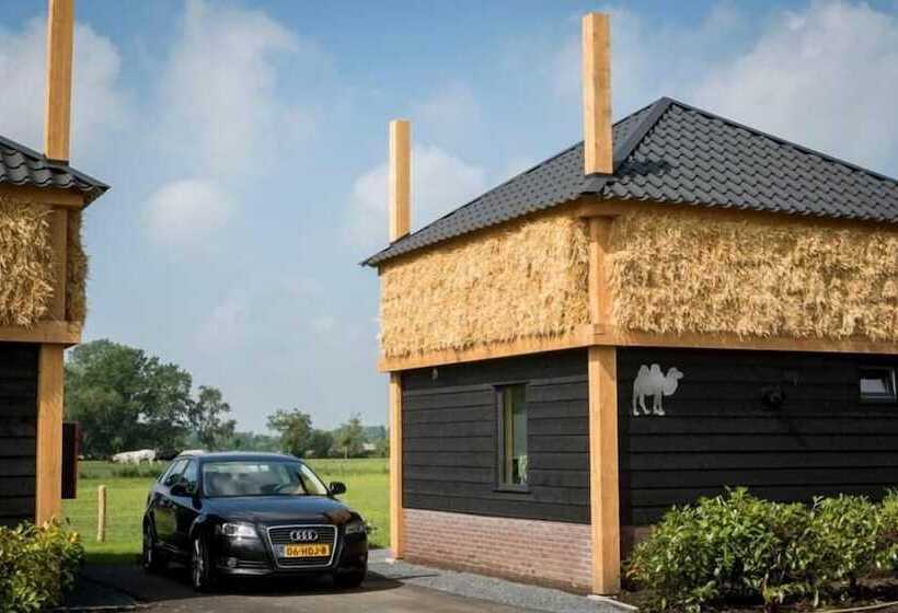 Camping Nieuw Romalo