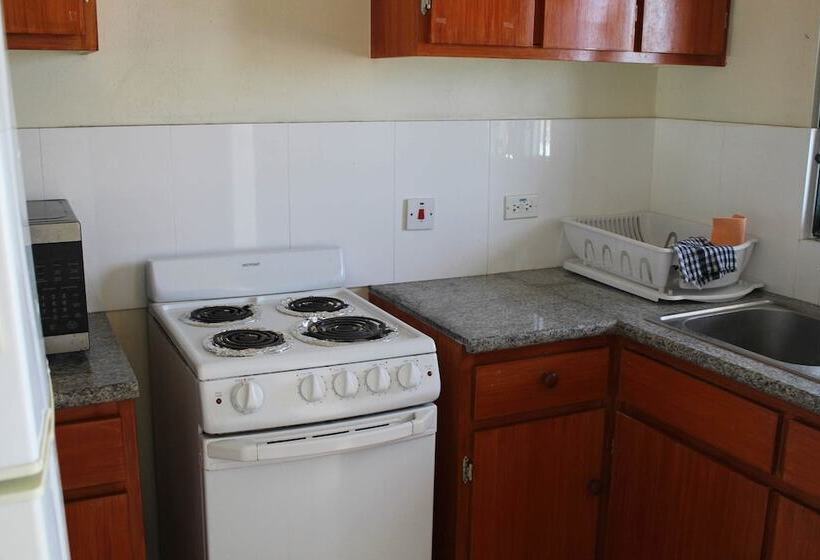 Choj Rentals   Sun Island Apartments