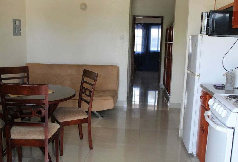 Choj Rentals   Sun Island Apartments