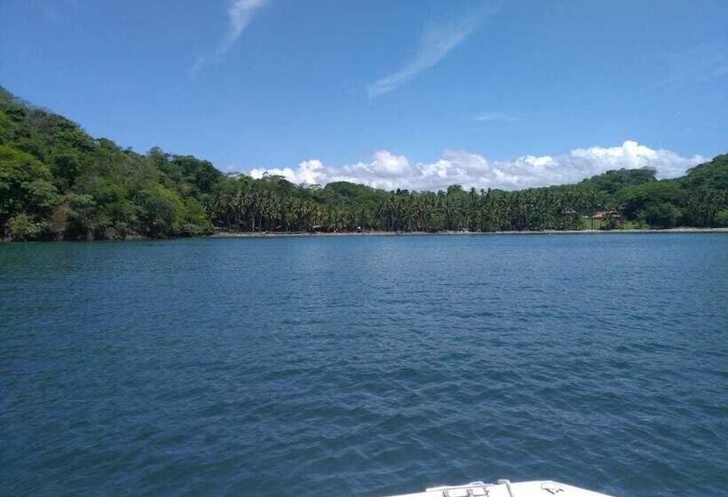 Costa Rica Paradise Island   Hostel