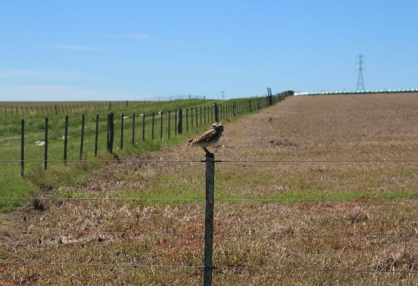 El Galope Horse Farm & Hostel