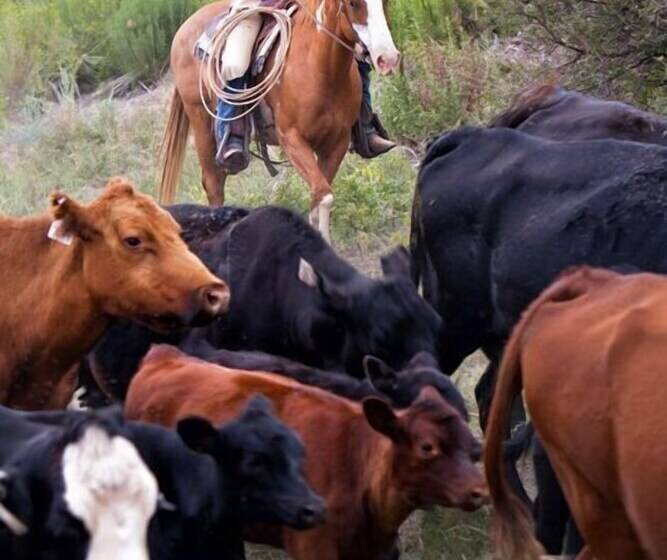 Fish Creek House Bed & Breakfast