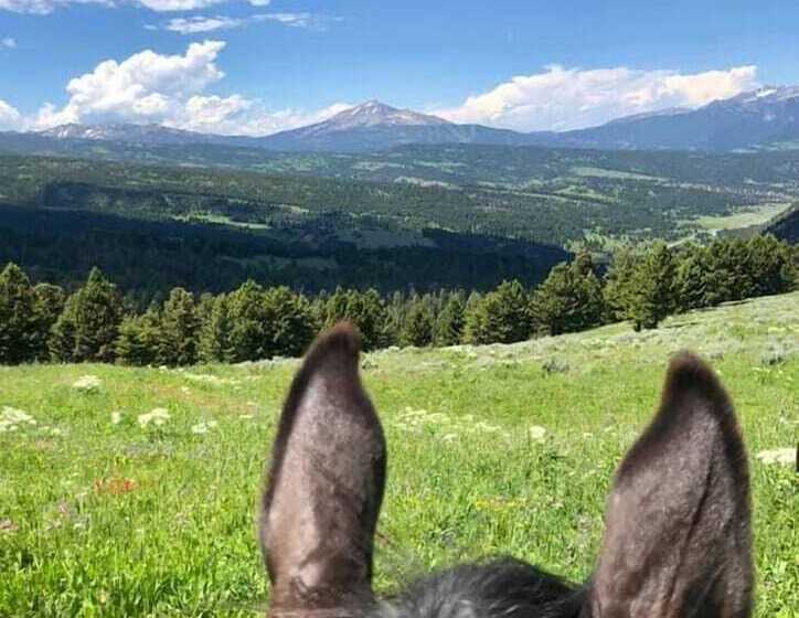 Fish Creek House Bed & Breakfast