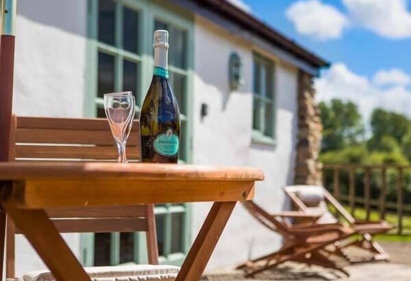 Five Elements Studio