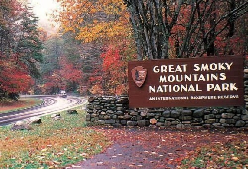 Foolin Around Apartment 1