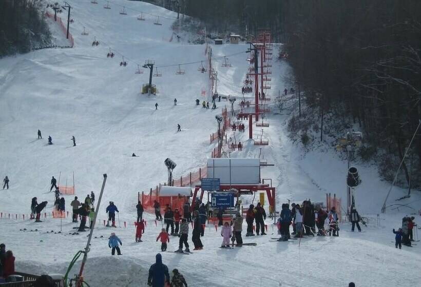 Foolin Around Apartment 1