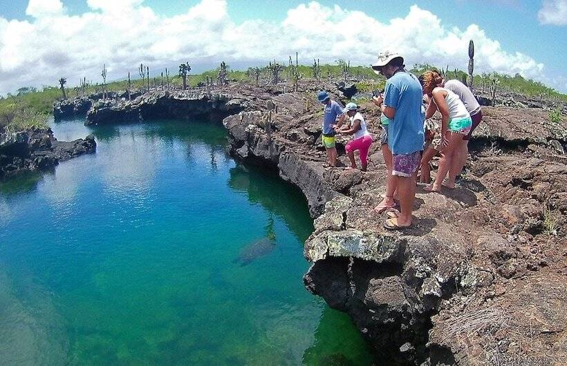 여관 Isla Del Descanso