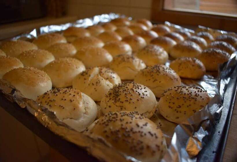 فندق Andes Lodge