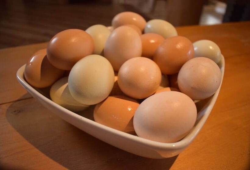 فندق Andes Lodge