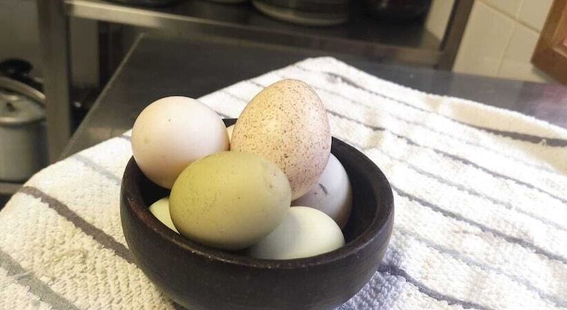 فندق Andes Lodge