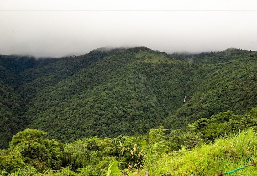 فندق Aurora Mountain