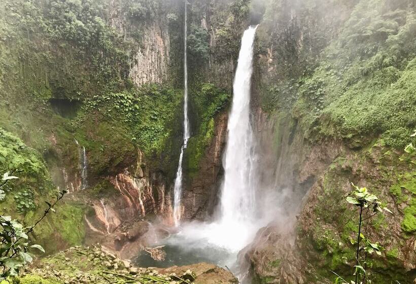 فندق Aurora Mountain