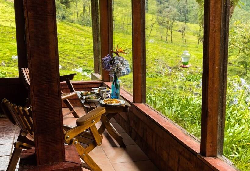 فندق Aurora Mountain