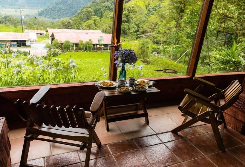 فندق Aurora Mountain