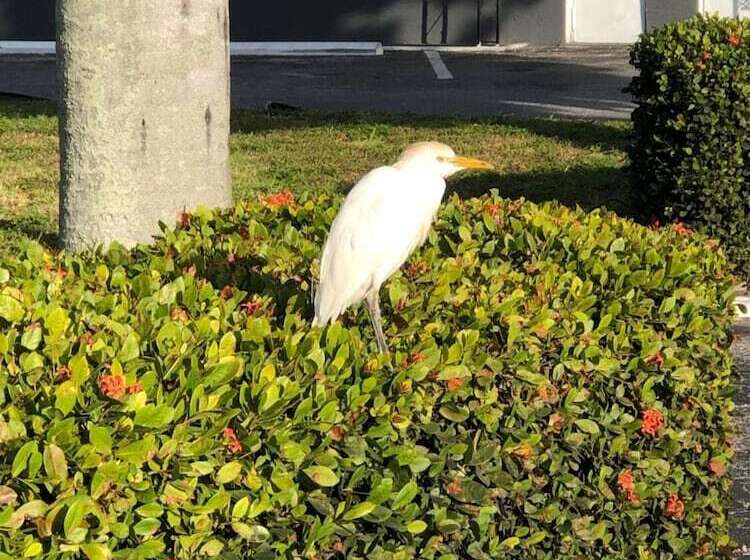 酒店 Bay Breeze Inn Bradenton Downtown