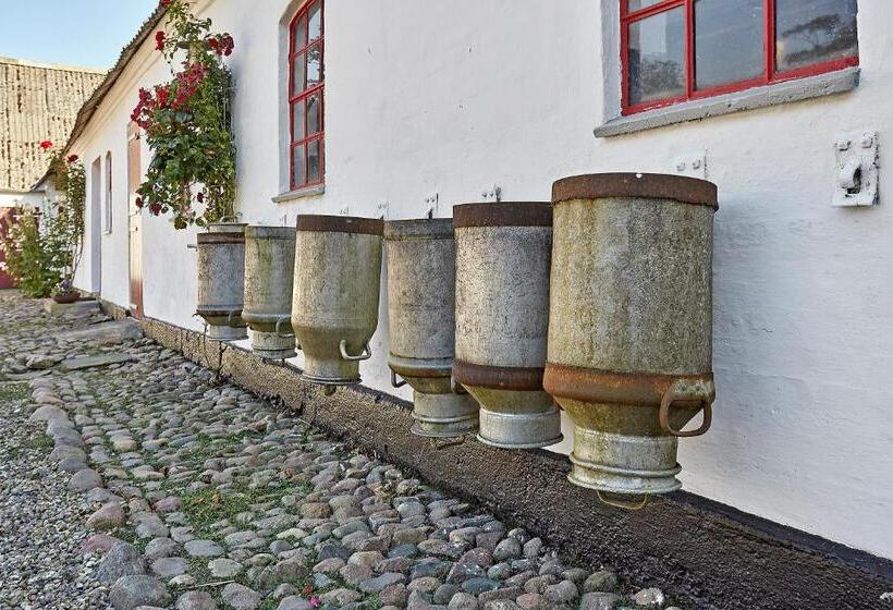 בית מלון כפרי Bed And Breakfast åløkke