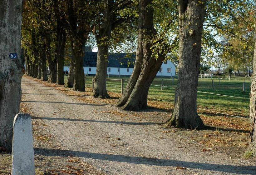 בית מלון כפרי Bed And Breakfast åløkke