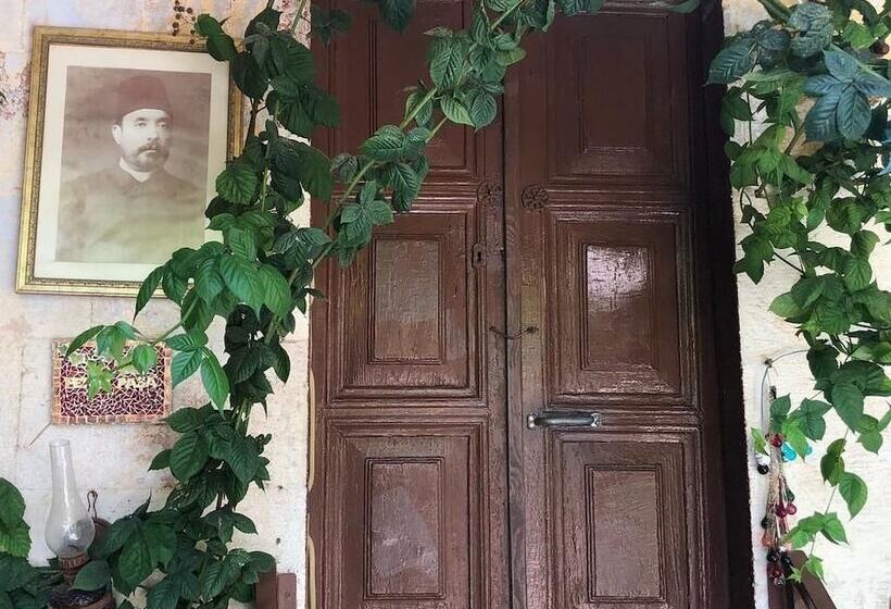 Отель Belkis Ev Pansiyon