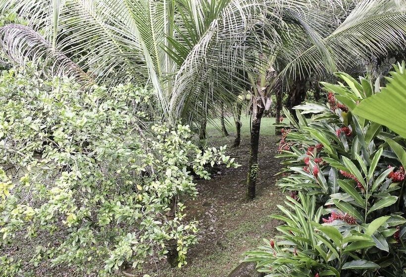 فندق Big Falls Extreme Adventures